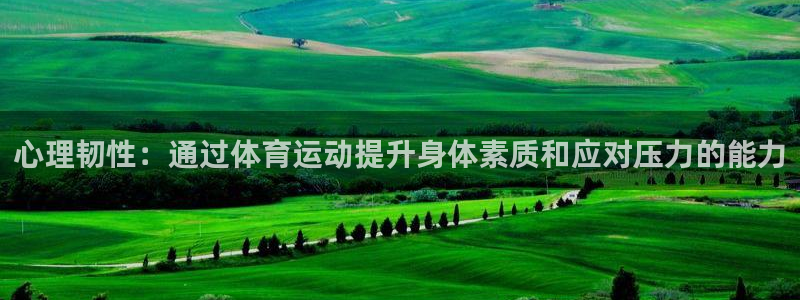 bsport体育在线官网：心理韧性：通过体育运动提升身体素质和应对压力的能力