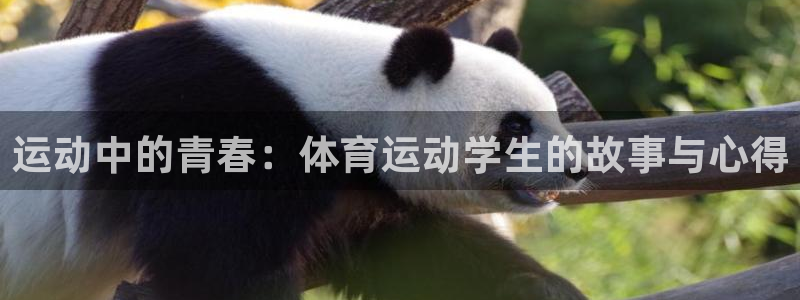 bsport体育在线入口：运动中的青春：体育运动学生的故事与心得