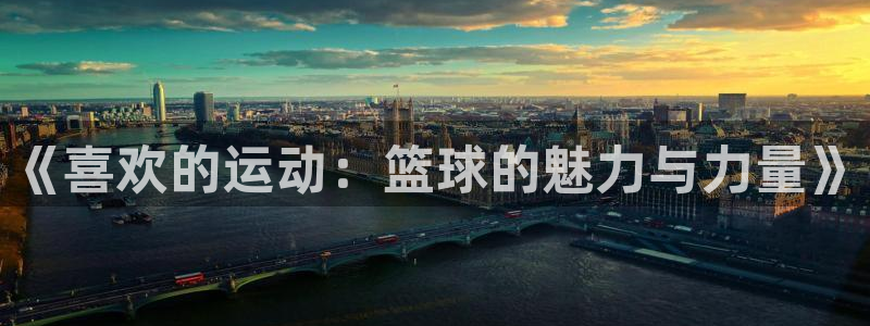bsport体育在线登录入口：《喜欢的运动：篮球的魅力与力量》