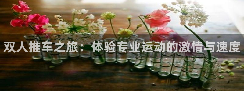 bsport体育平台：双人推车之旅：体验专业运动的激情与速度