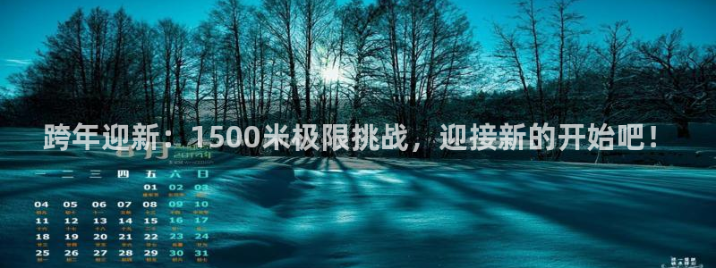 bsport体育在线入口：跨年迎新：1500米极限挑战，迎接新的开始吧！