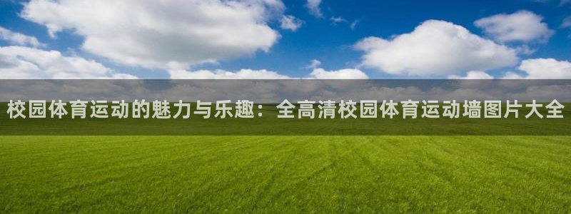 必一运动bsport体育：校园体育运动的魅力与乐趣：全高清校园体育运动墙图片大全